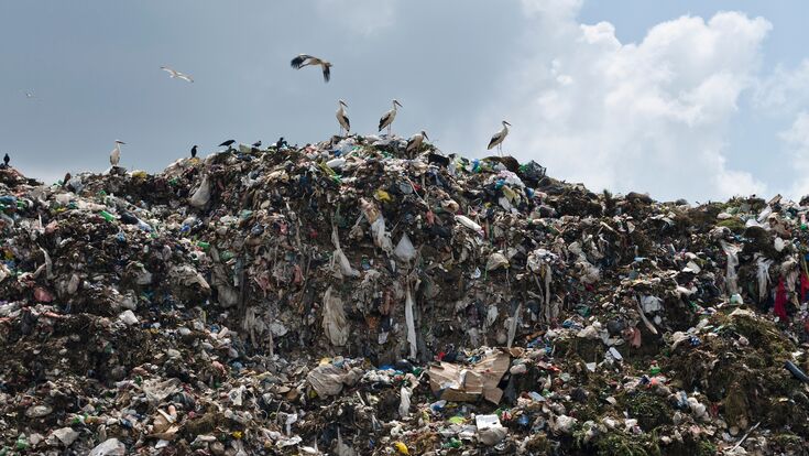 World Environment Day 2026: waste dump in India