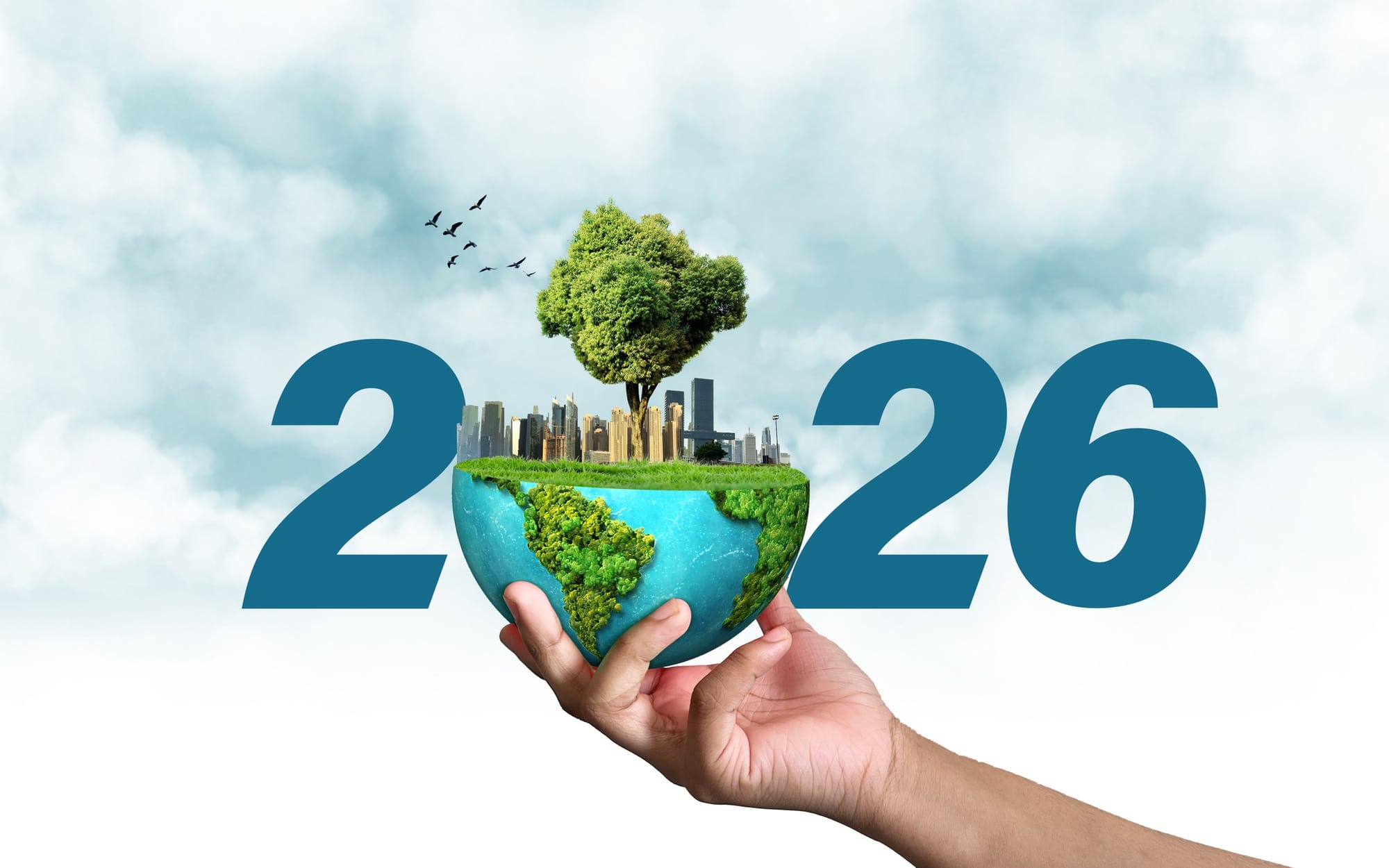 What is Environment day 2026